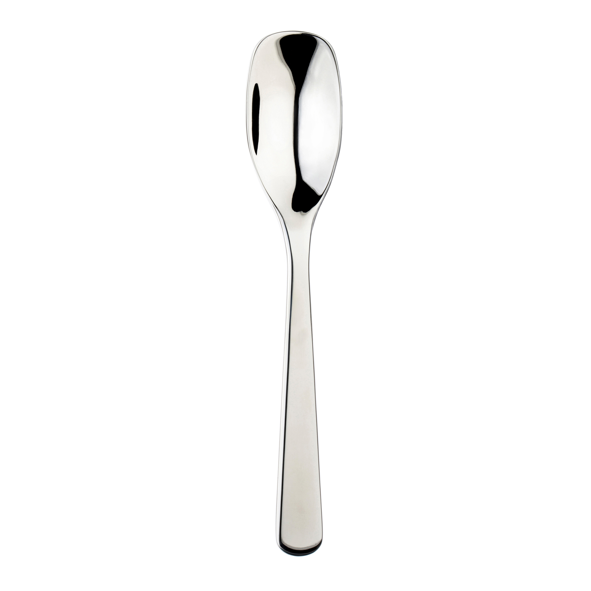 Balsa Mirror Serving Spoon 248mm