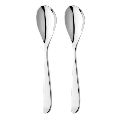 Olive Mirror 2 Piece Serving Spoon Cutlery Set